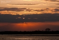 012_Biebrza - kwiecien 2010